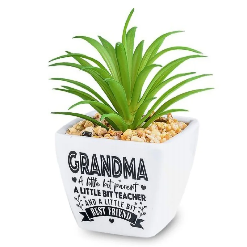 H & H Gifts : Succulent - Grandma