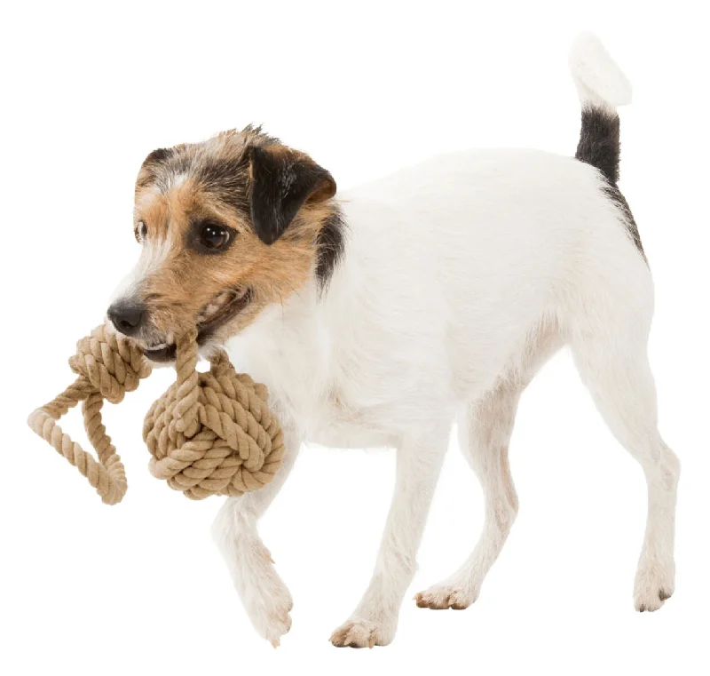 - Dog food improves immunityBe Nordic Playing rope with Woven-in Ball