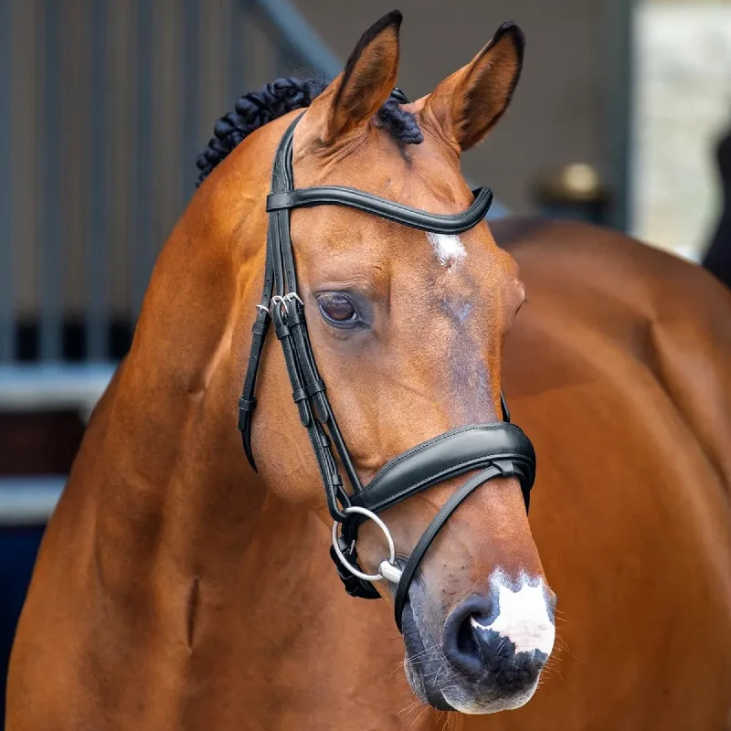 Shires Lusso Dressage Flash Bridle - Black