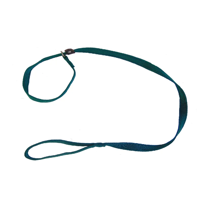 Sporting Saint Cushion Web Slip Lead