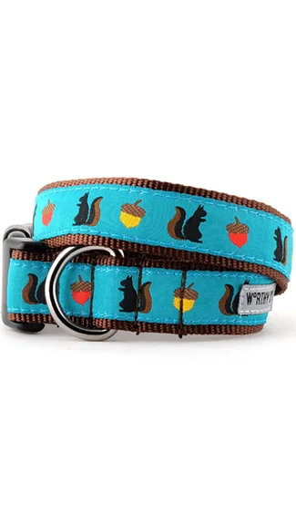 The Worthy Dog Collar: Squirrelly