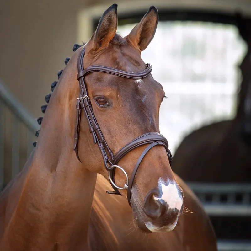 Shires Lusso Padded Raised Flash Bridle - Havana