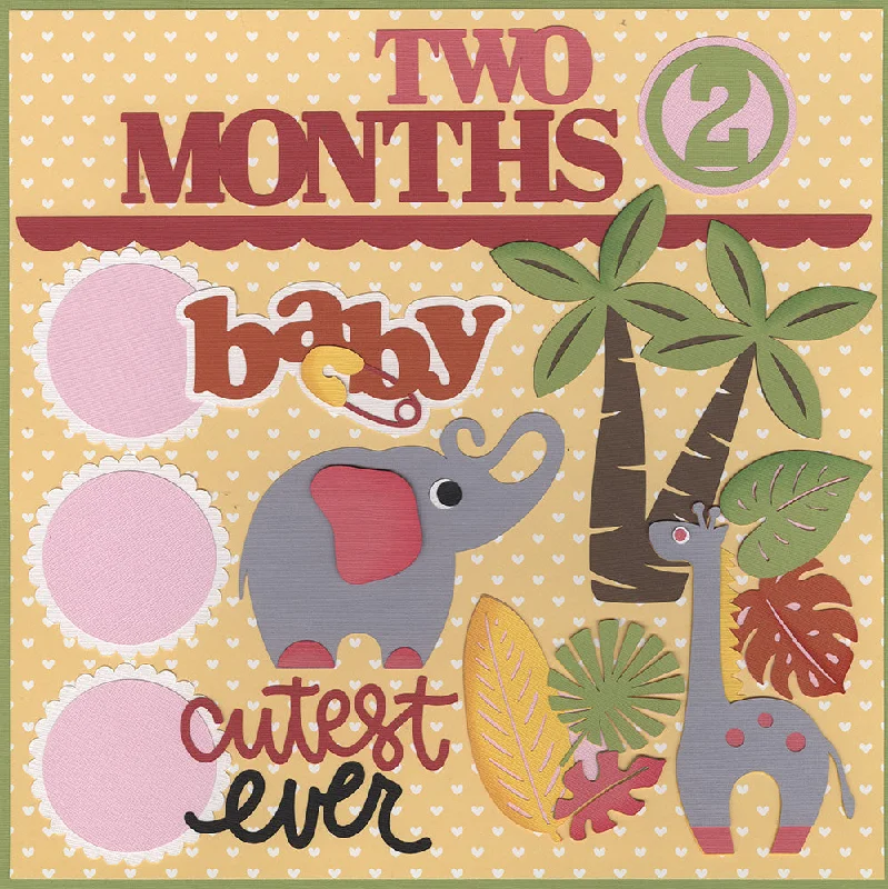 Diecuts: Baby Girl 2 Months