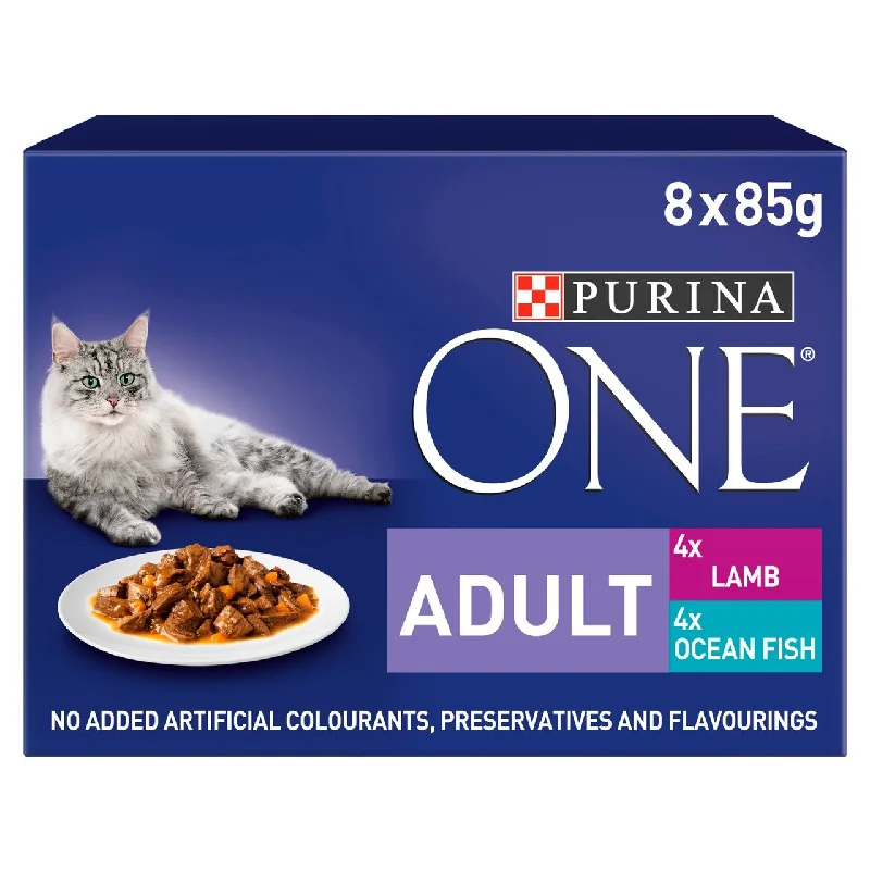    - Cat food for picky eaters  Purina ONE Adult Cat Food Fish and Lamb 8 x 85g